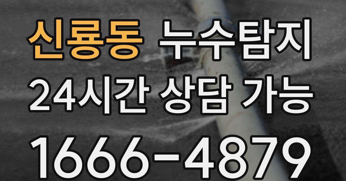 신룡동 누수