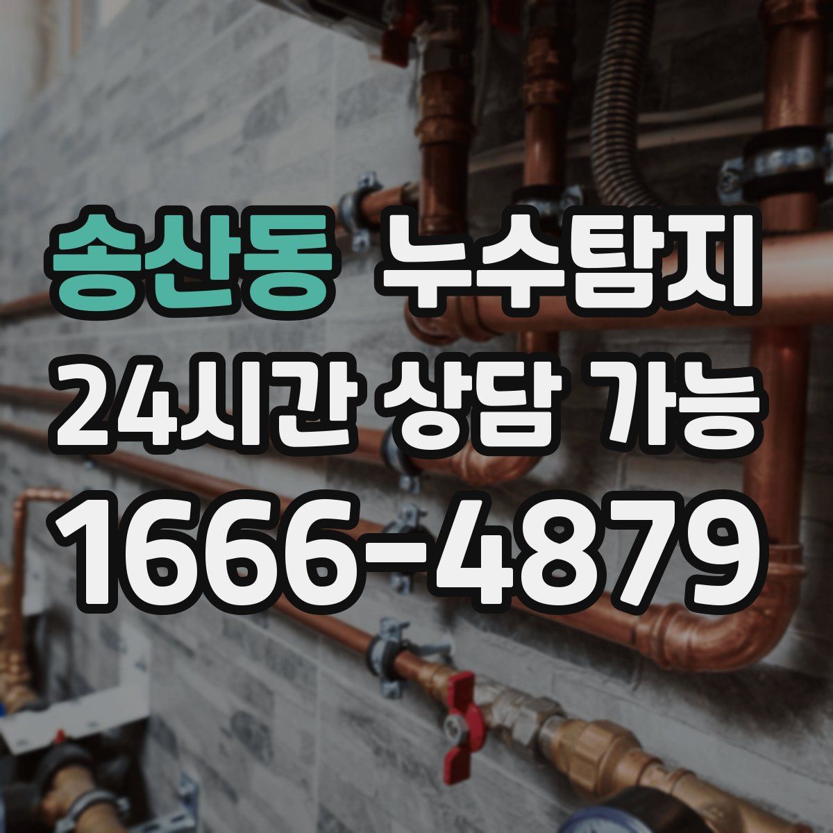 송산동 누수탐지