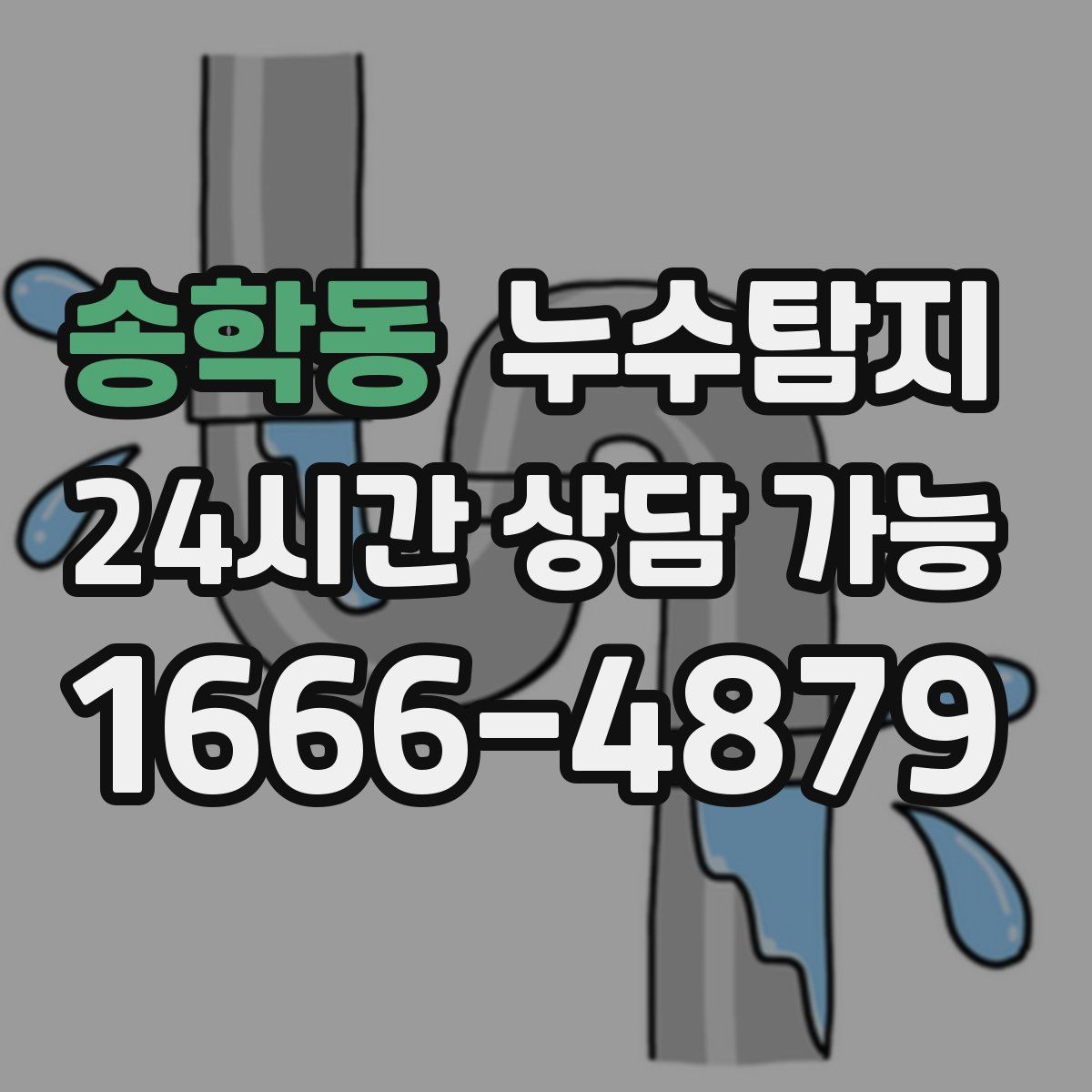 송학동 누수탐지