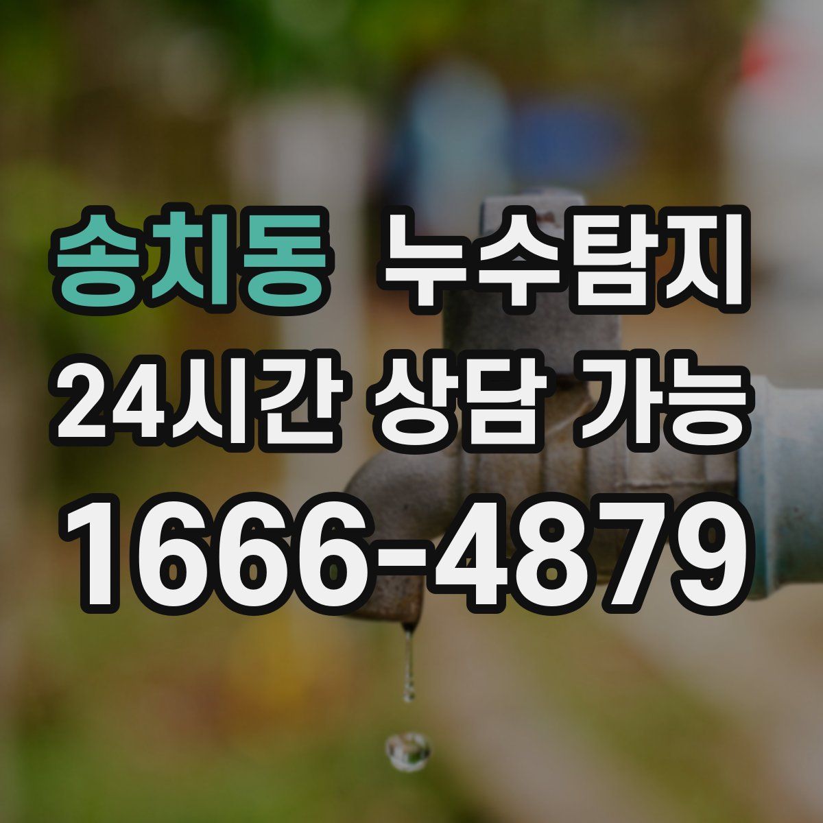 송치동 누수탐지