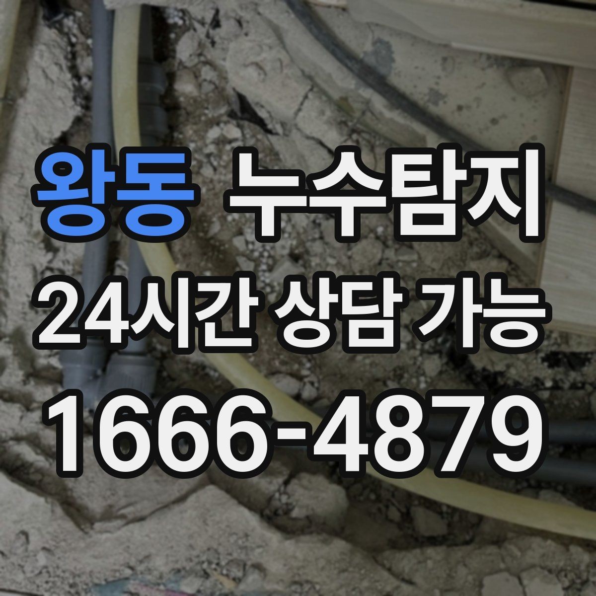 왕동 누수탐지 전문 진단 서비스
