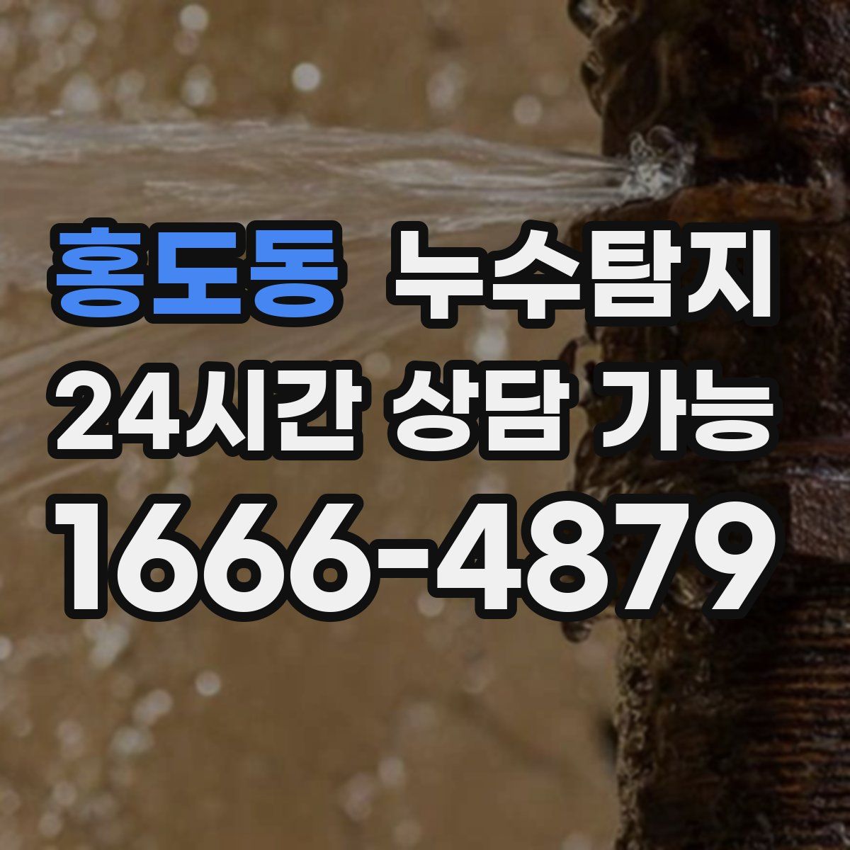 홍도동 누수탐지