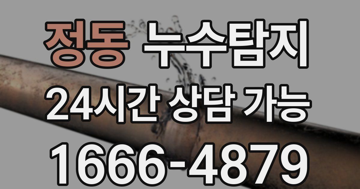 정동 누수