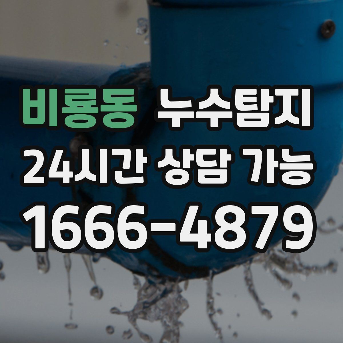 비룡동 누수탐지 빠른 방문으로 막은 2차 피해