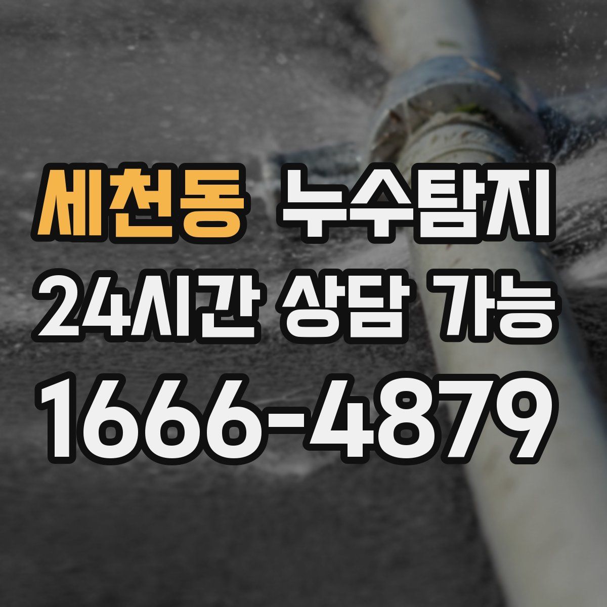세천동 누수탐지