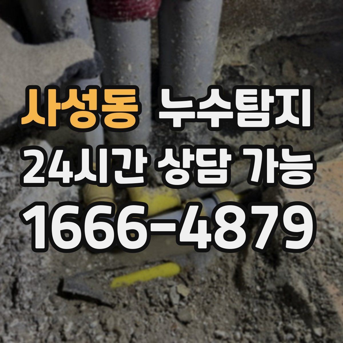 사성동 누수탐지 아이와 반려동물을 위한 안전 점검