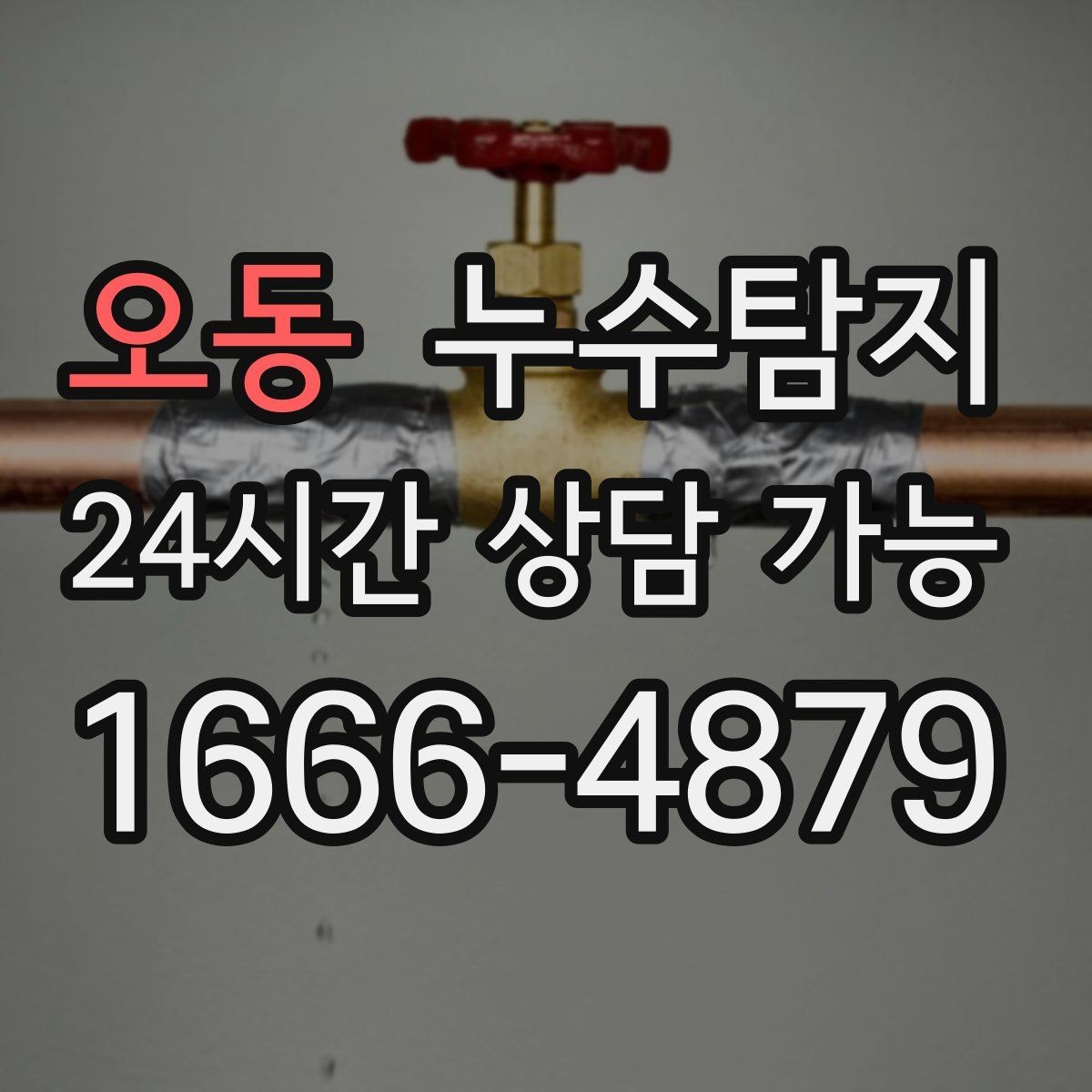 오동 누수탐지 관리사무소와 협의한 과정 기록