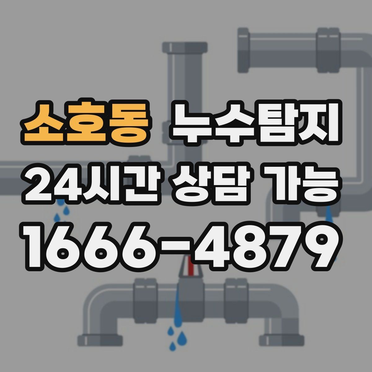소호동 누수탐지 비용을 아끼는 합리적 견적 받기