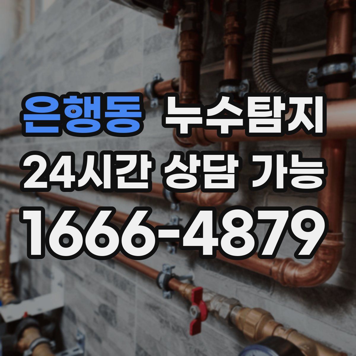 은행동 누수탐지