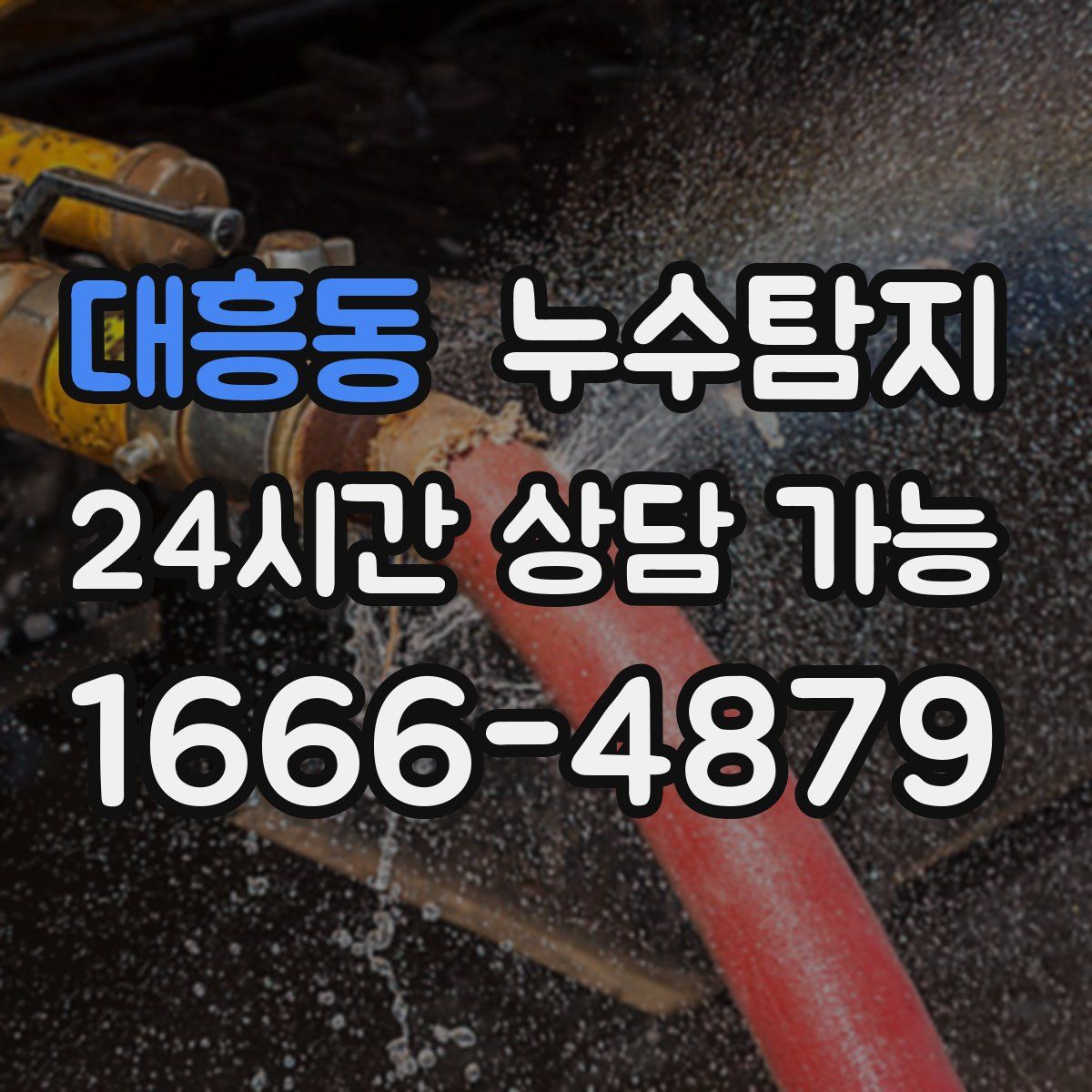 대흥동 누수탐지