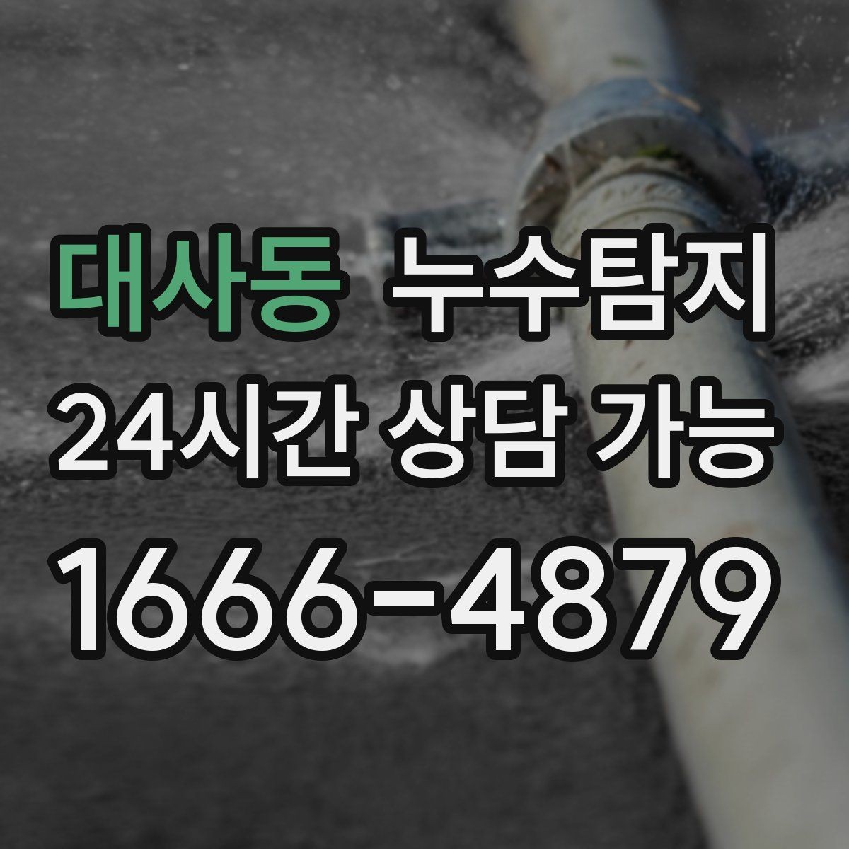 대사동 누수탐지 주말 방문으로 재빨리 해결한 후기