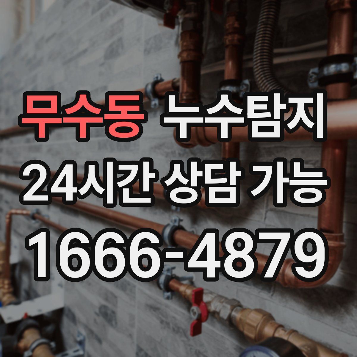 무수동 누수탐지