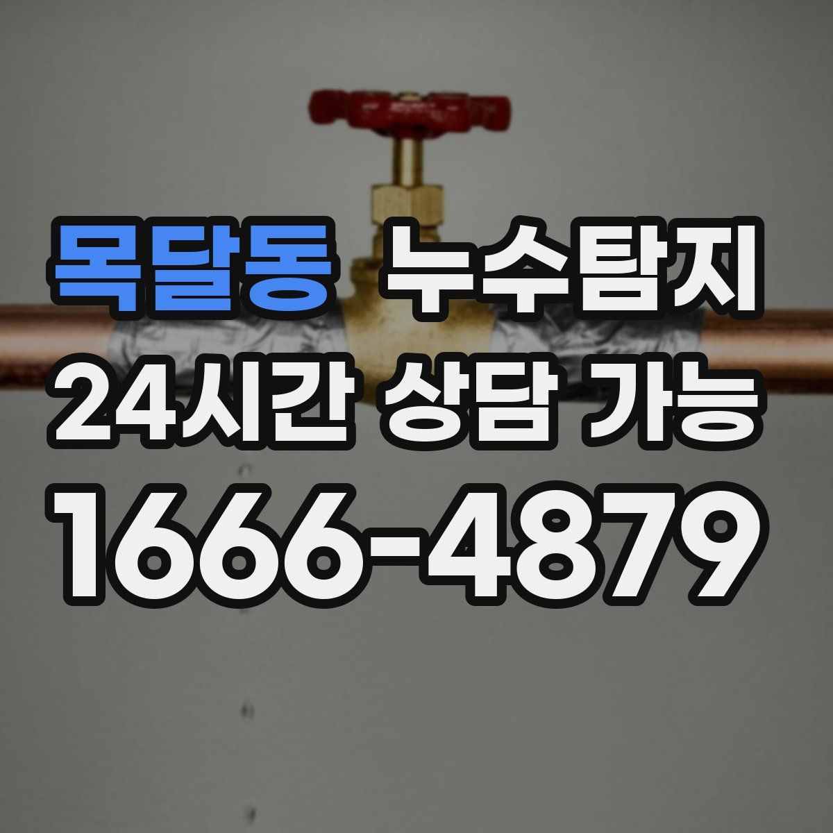 목달동 누수탐지