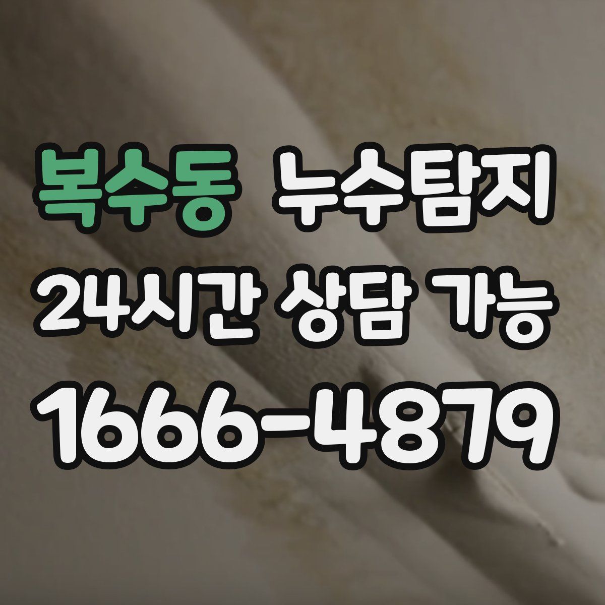 복수동 누수탐지