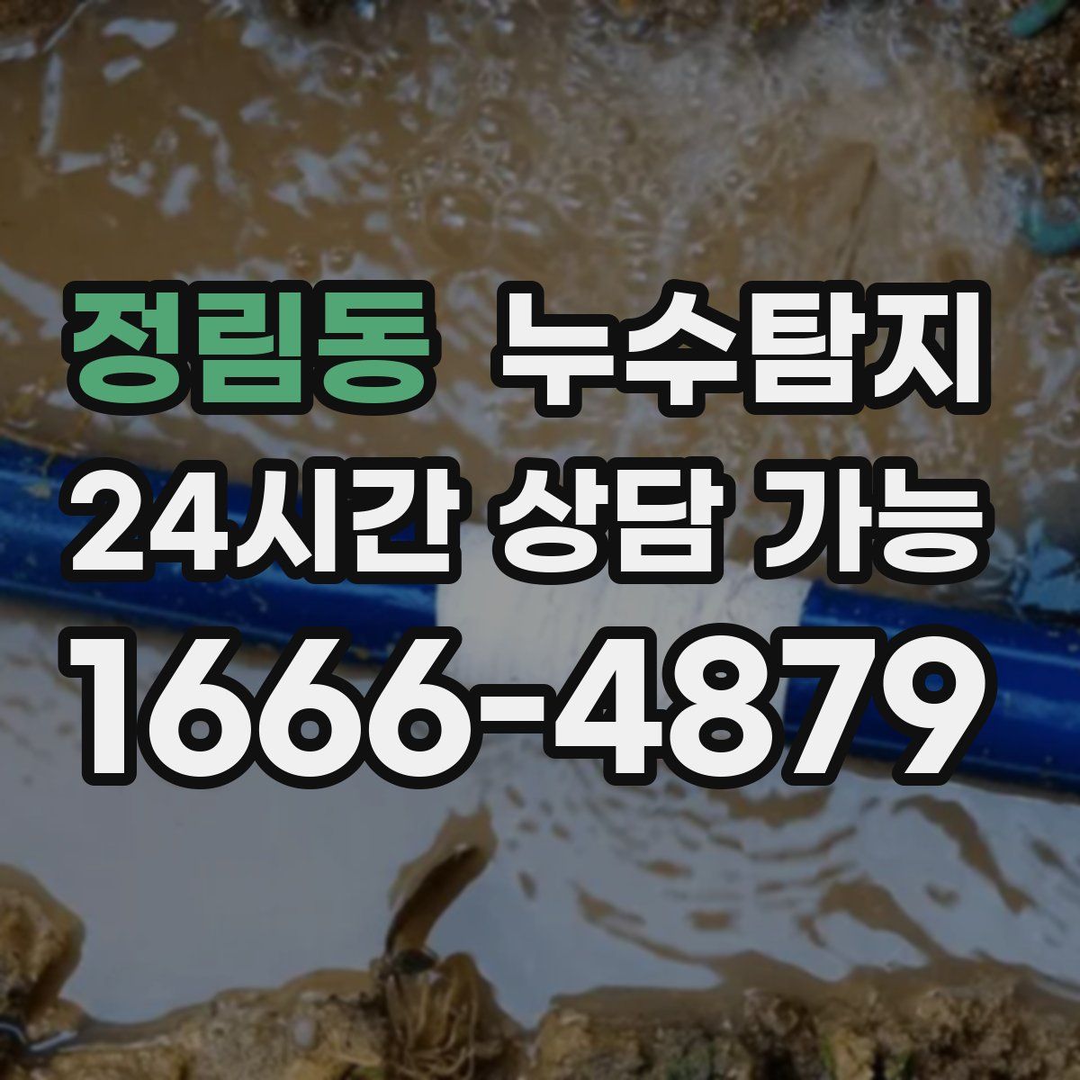 정림동 누수탐지