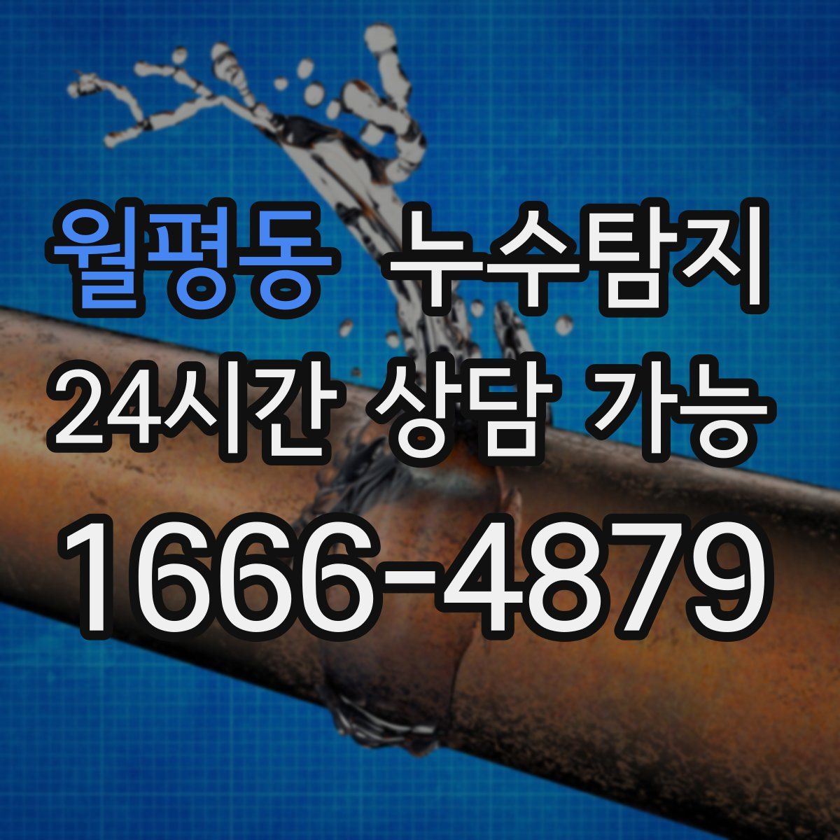 월평동 누수탐지