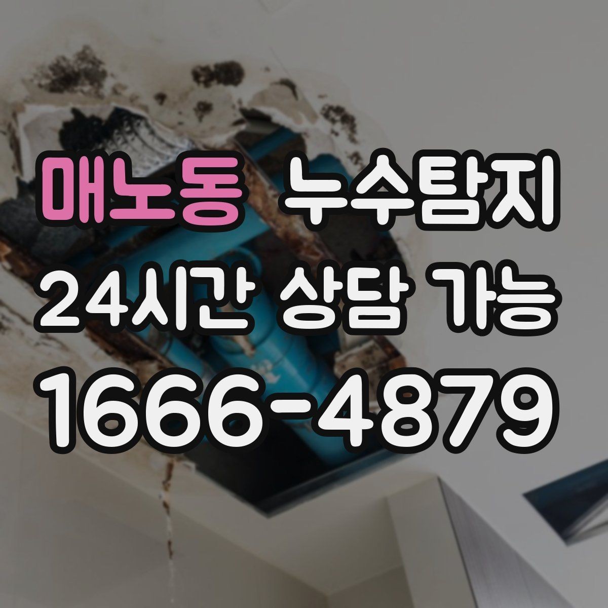 매노동 누수탐지 우리 가족을 지킨 빠른 판단