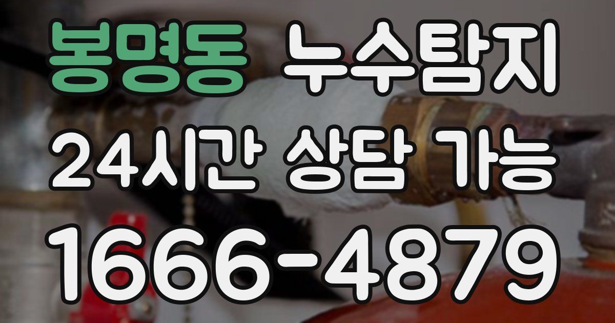 봉명동 누수