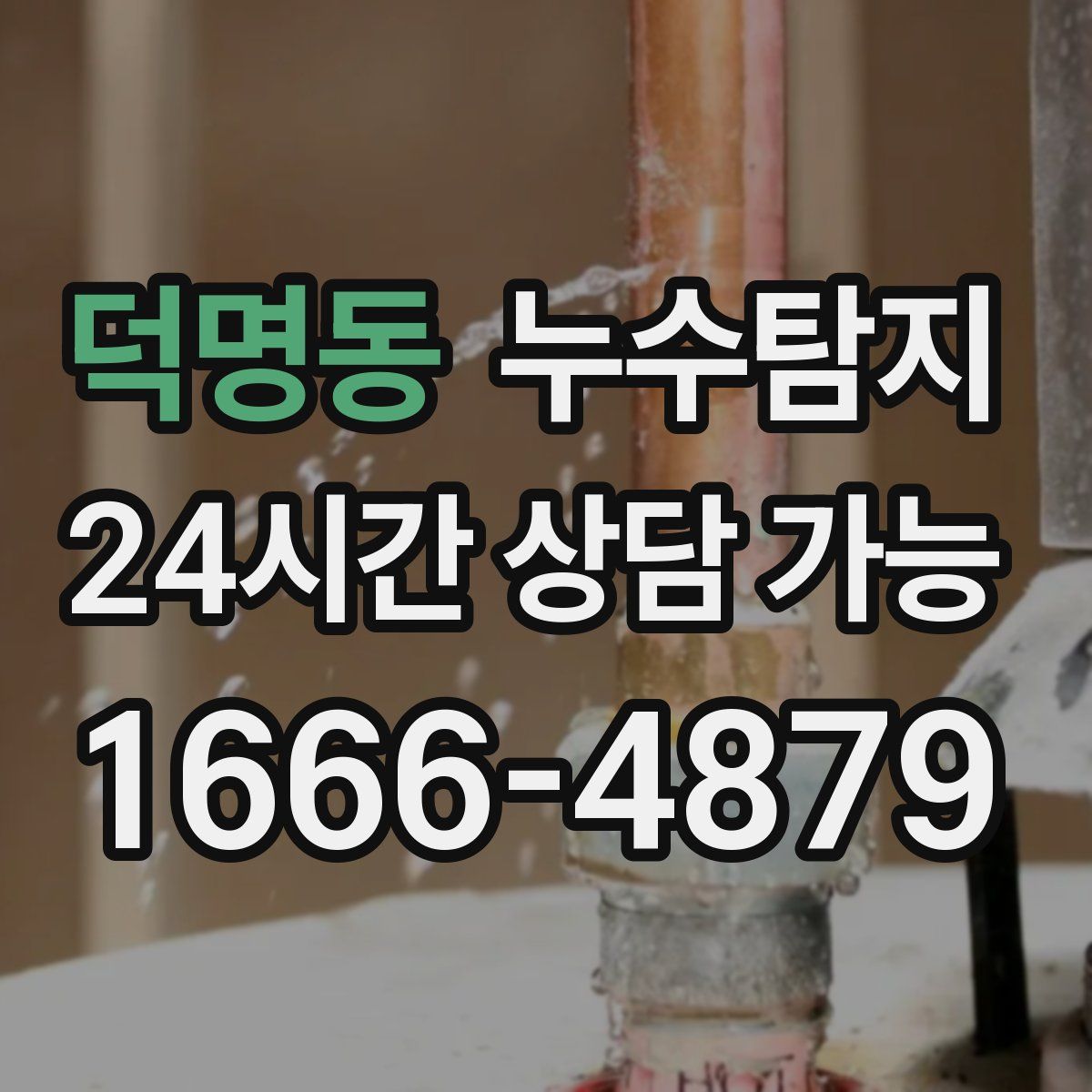 덕명동 누수탐지