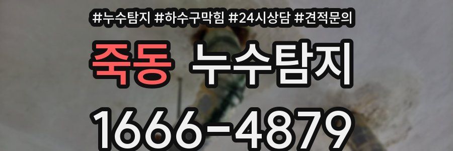 누수탐지
