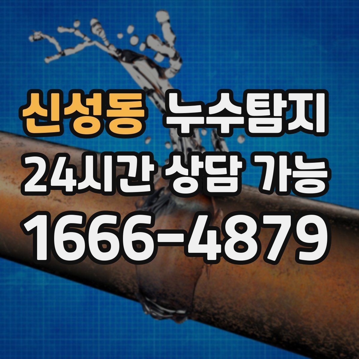 신성동 누수탐지 세탁실 배수 문제 진단 경험