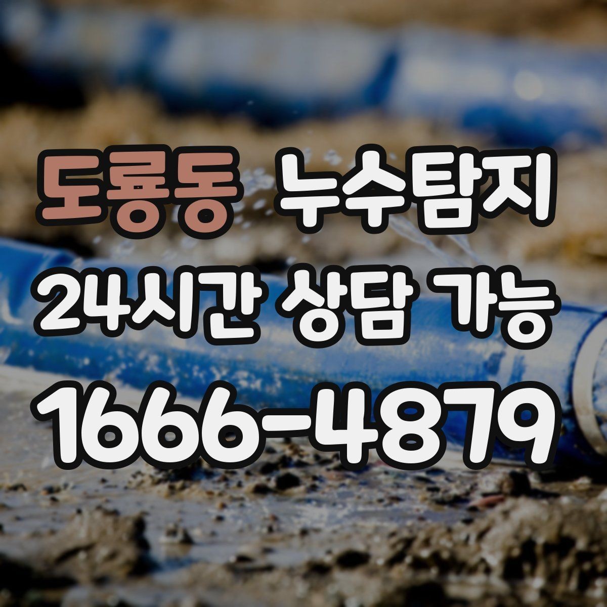 도룡동 누수탐지 관리사무소와 협의한 과정 기록