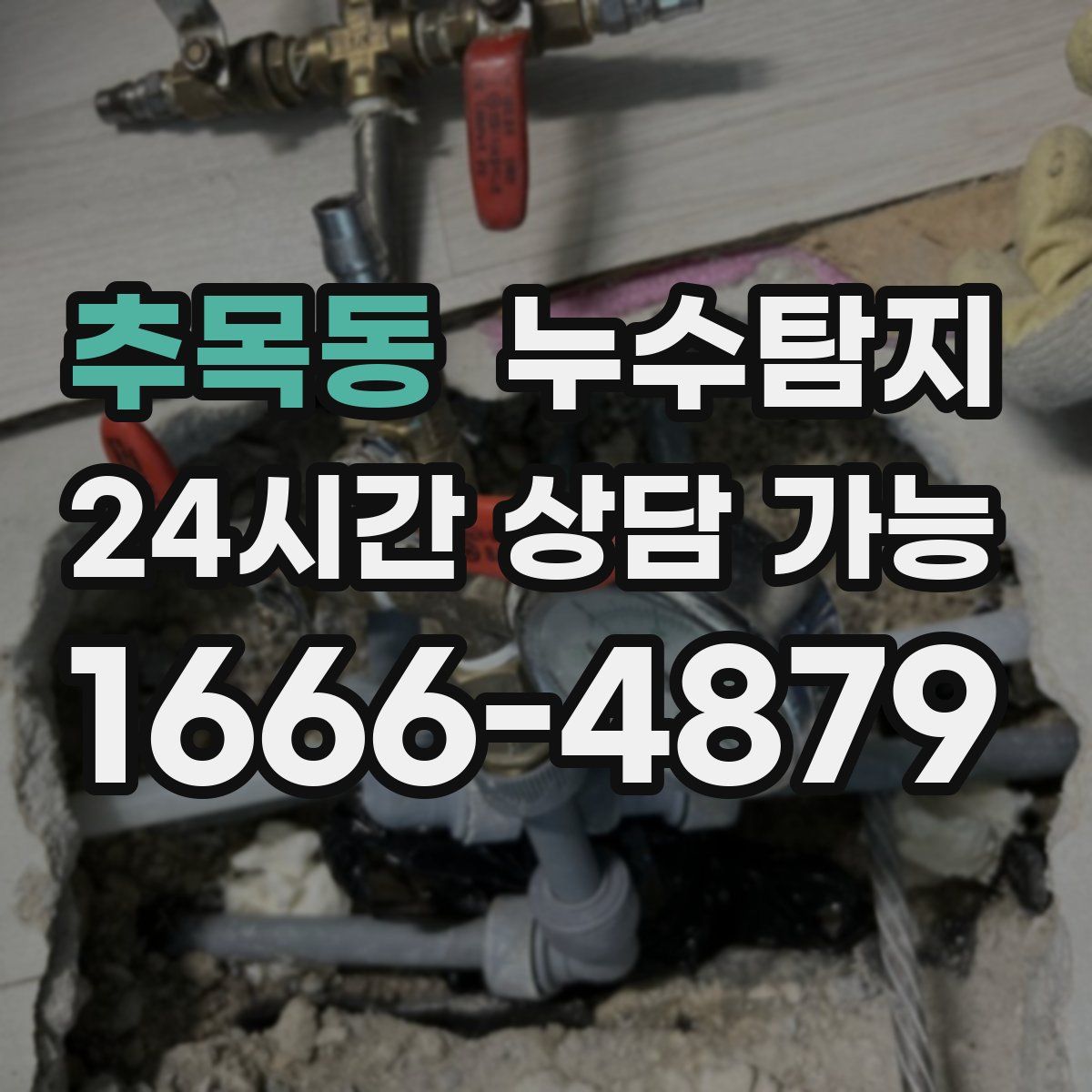 추목동 누수탐지