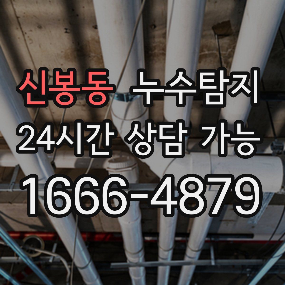 신봉동 누수탐지
