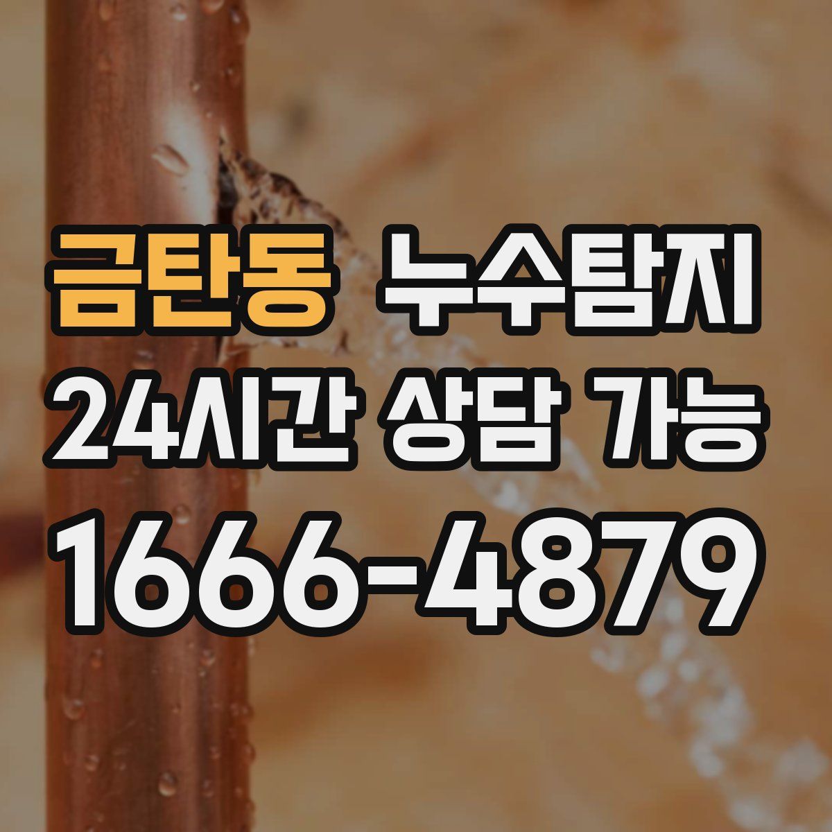 금탄동 누수탐지