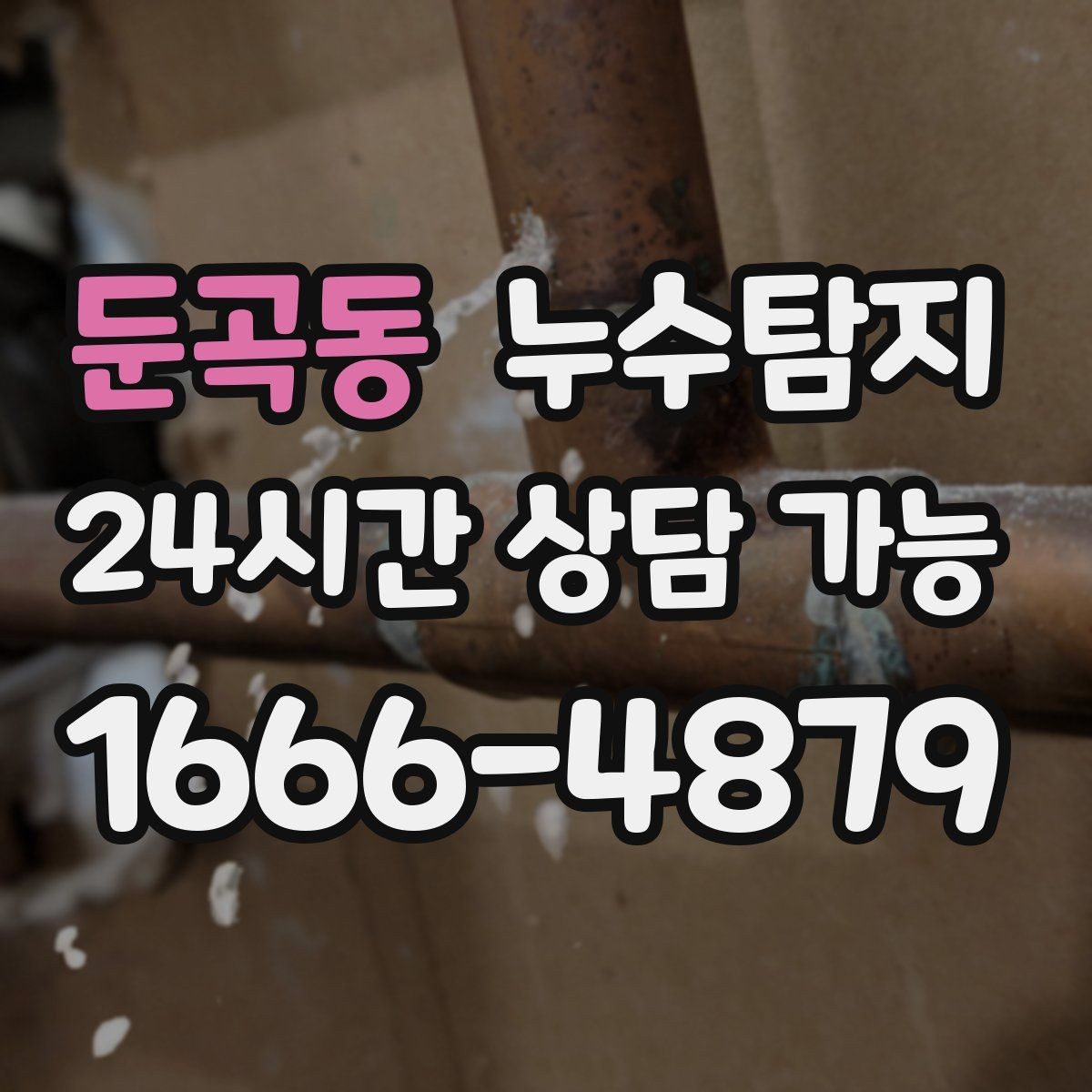 둔곡동 누수탐지 상가 영업 중 조용한 점검기