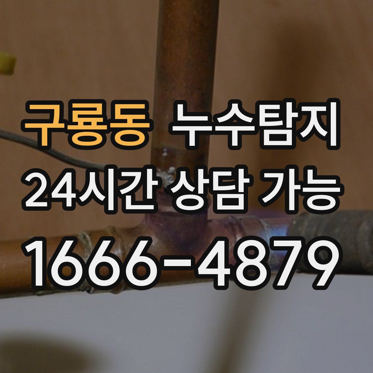 구룡동 누수탐지