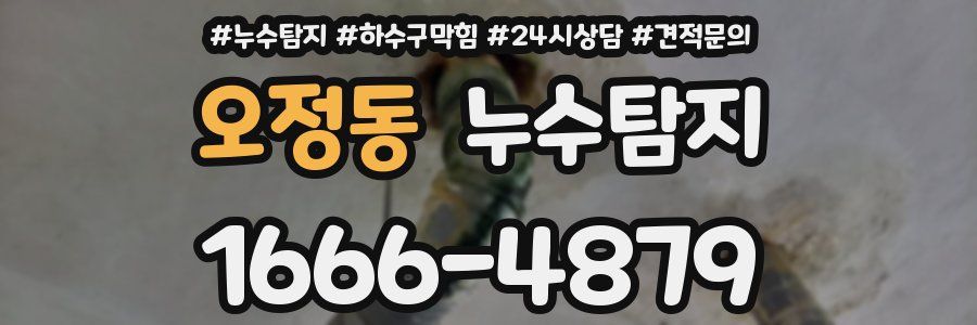 누수탐지