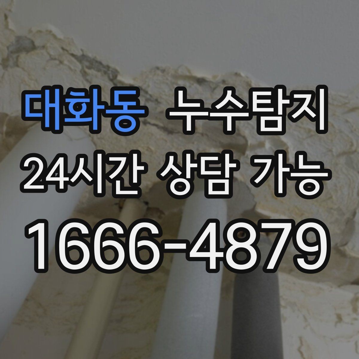 대화동 누수탐지 당일 상담과 긴급 점검 이용 후기