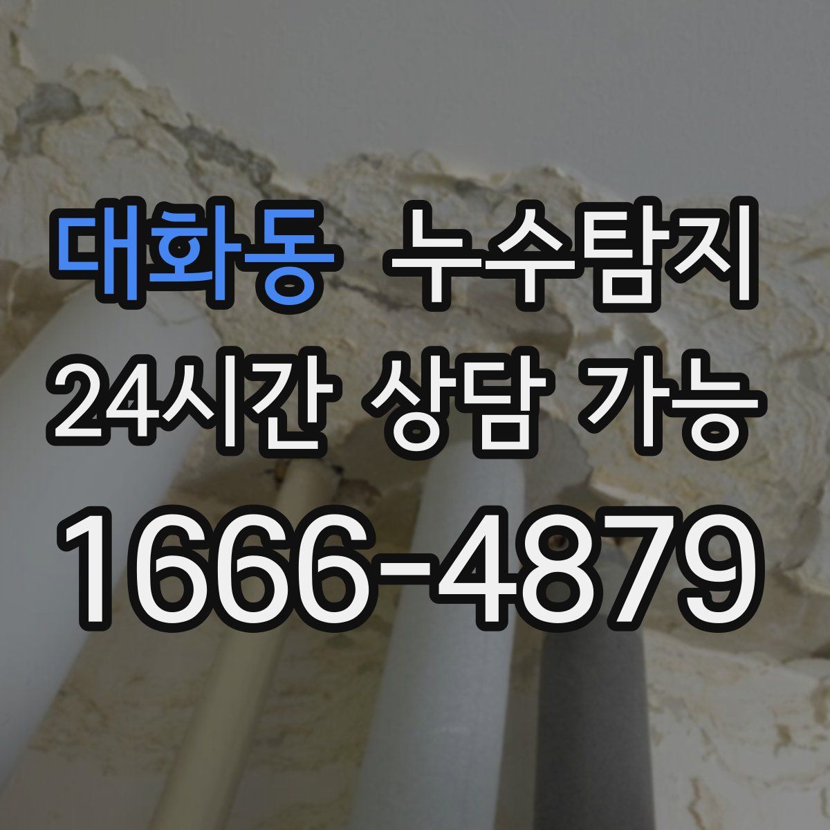대화동 누수탐지