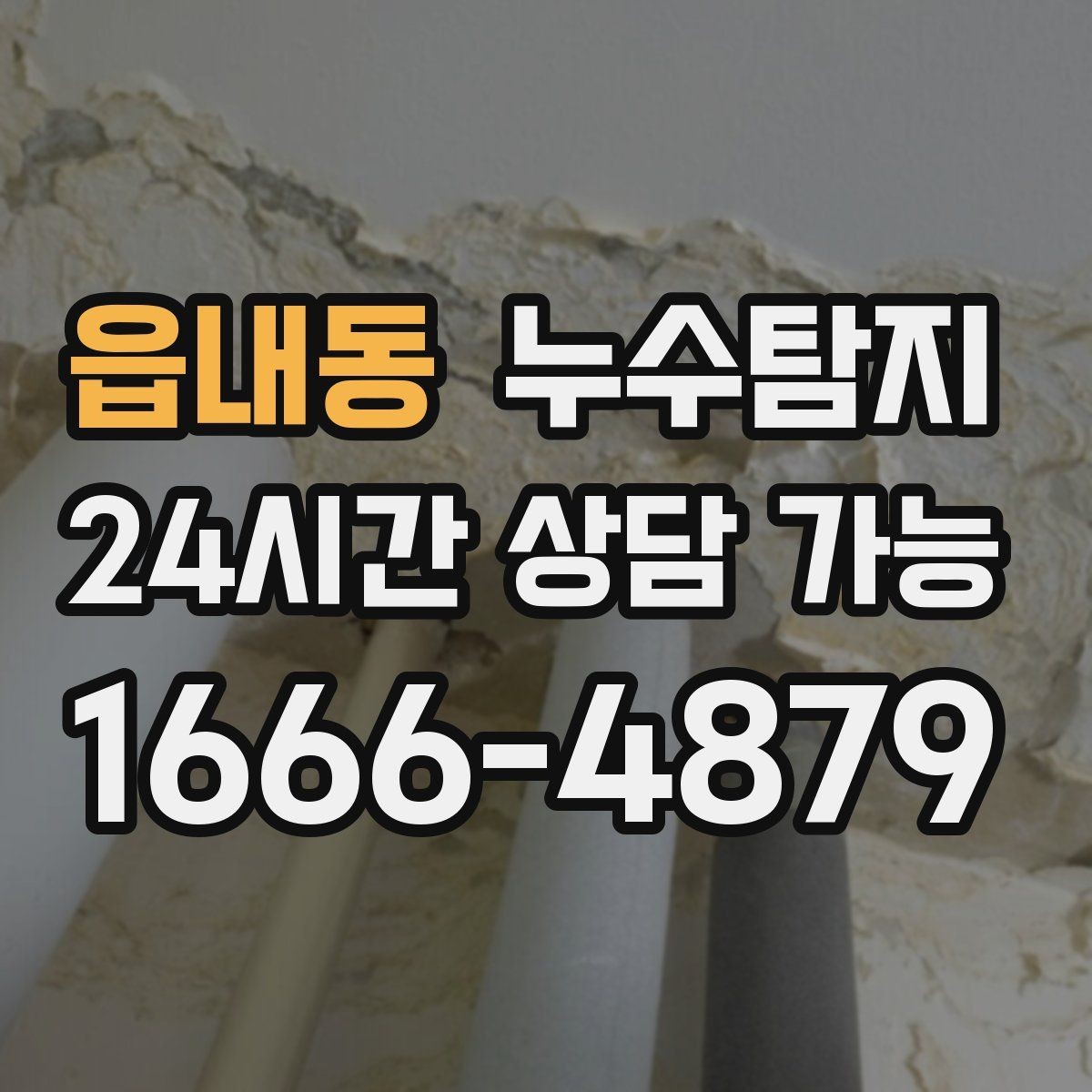 읍내동 누수탐지 주말 점검으로 끝낸 응급 상황