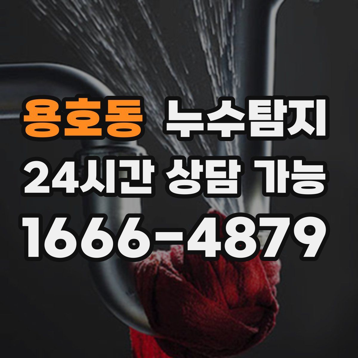 용호동 누수탐지