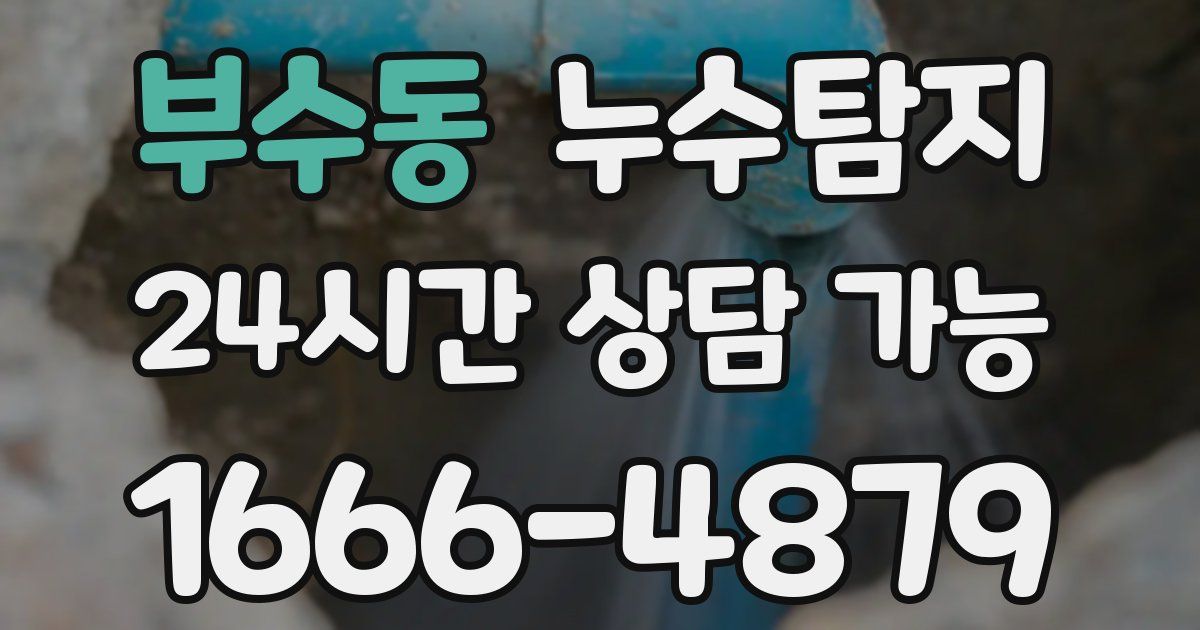 부수동 누수