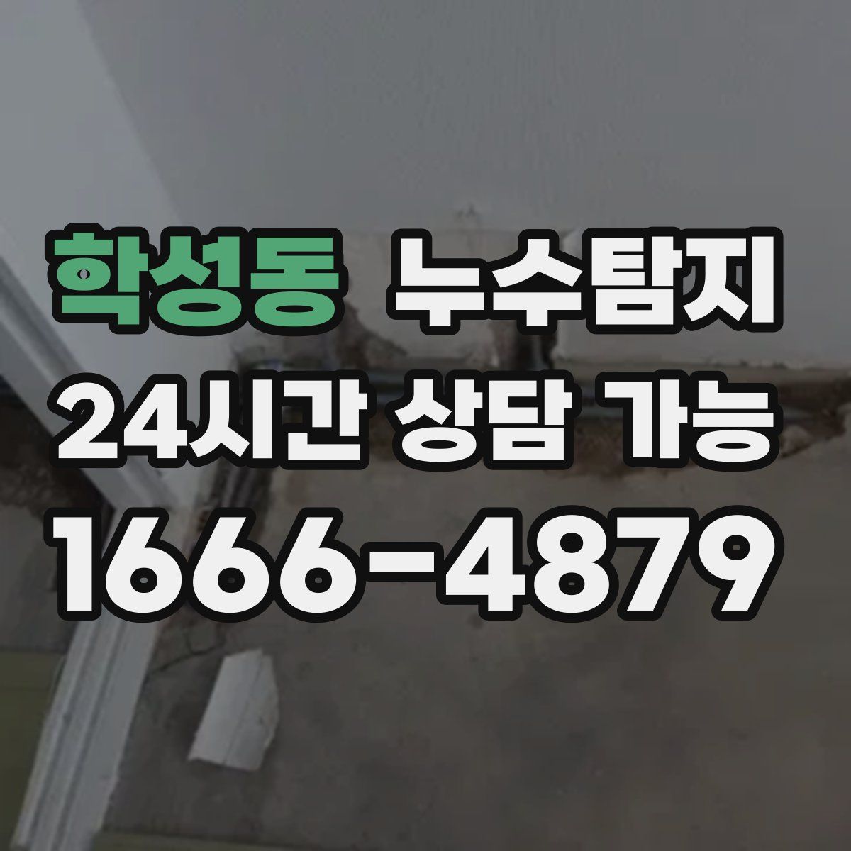 학성동 누수탐지