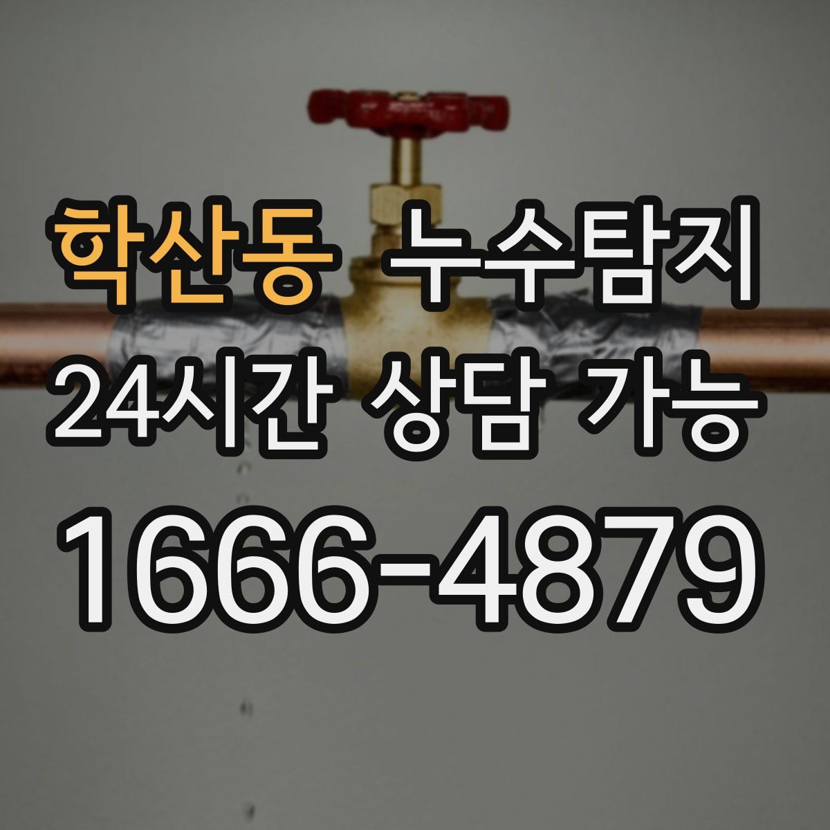 학산동 누수탐지