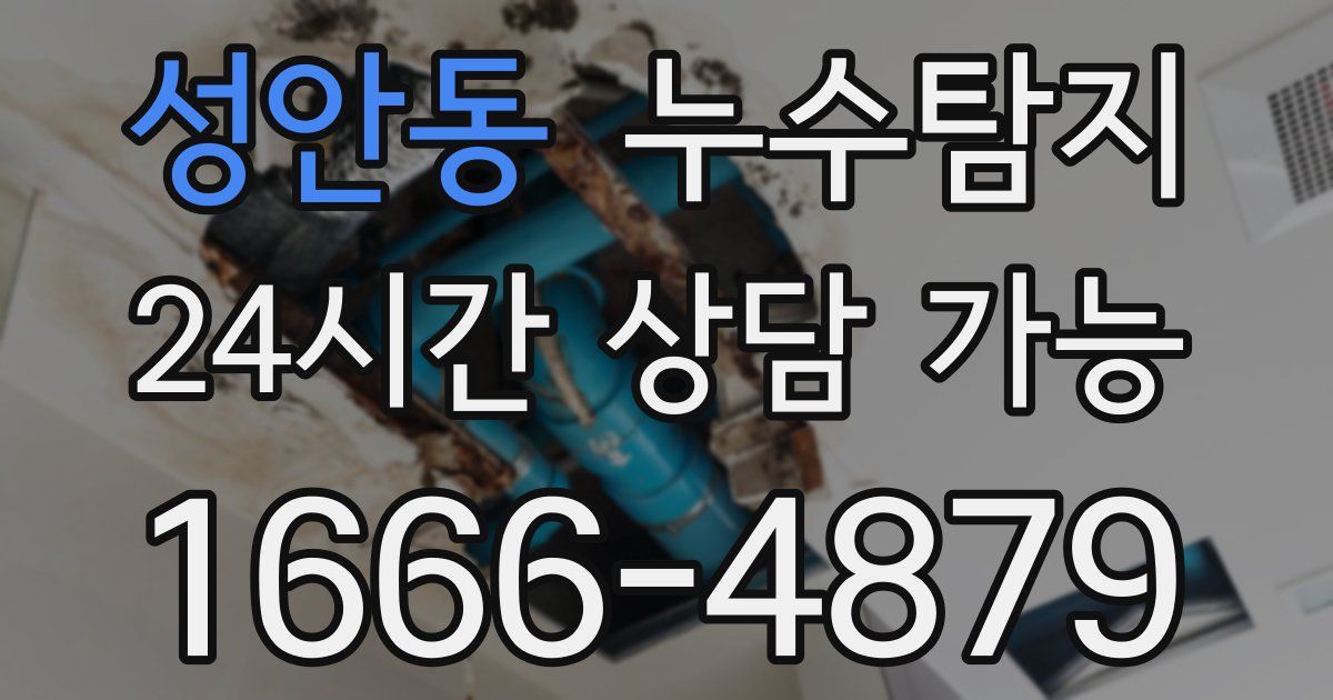 성안동 누수