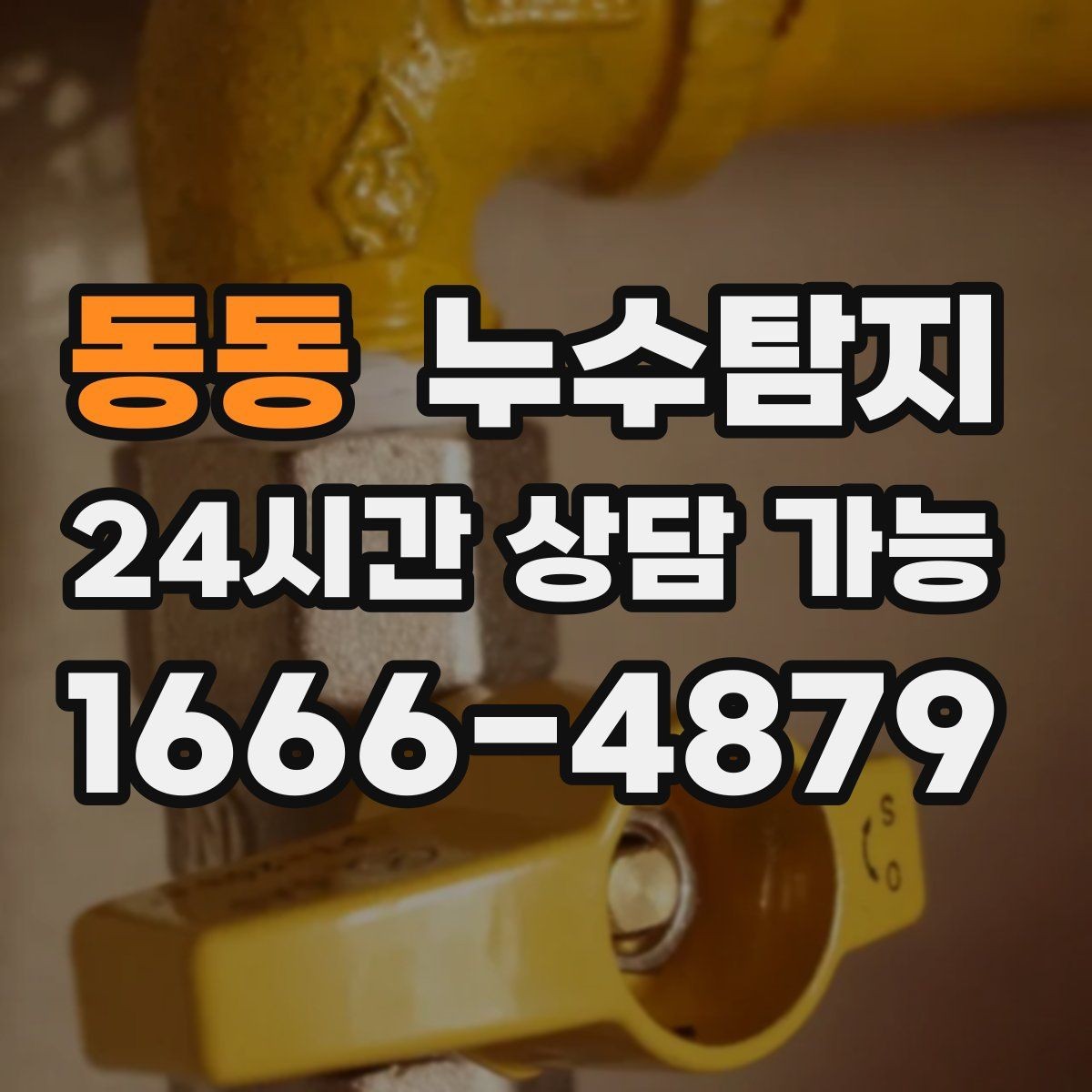 동동 누수탐지 상가 영업 중 조용한 점검기