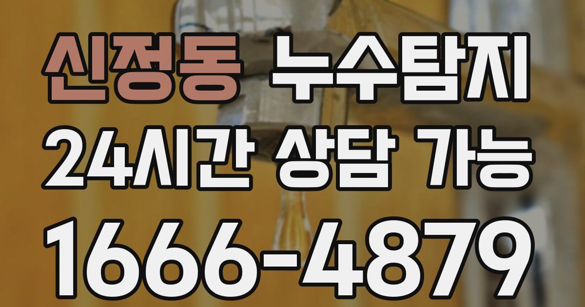 신정동 누수