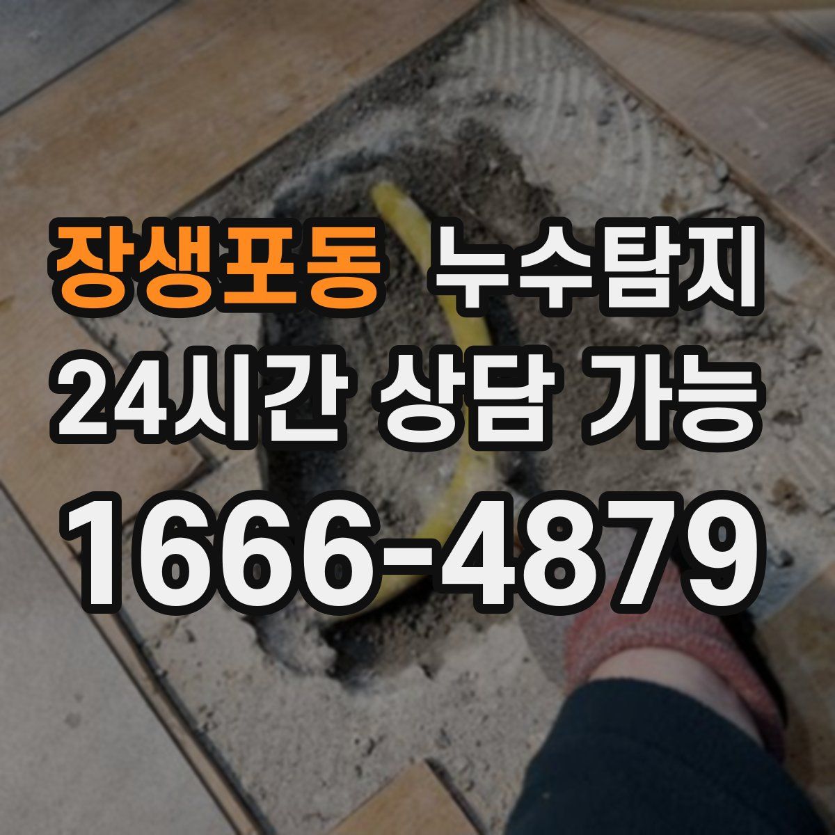 장생포동 누수탐지