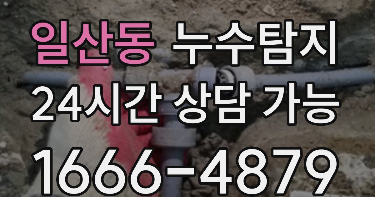 일산동 누수