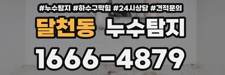 누수탐지