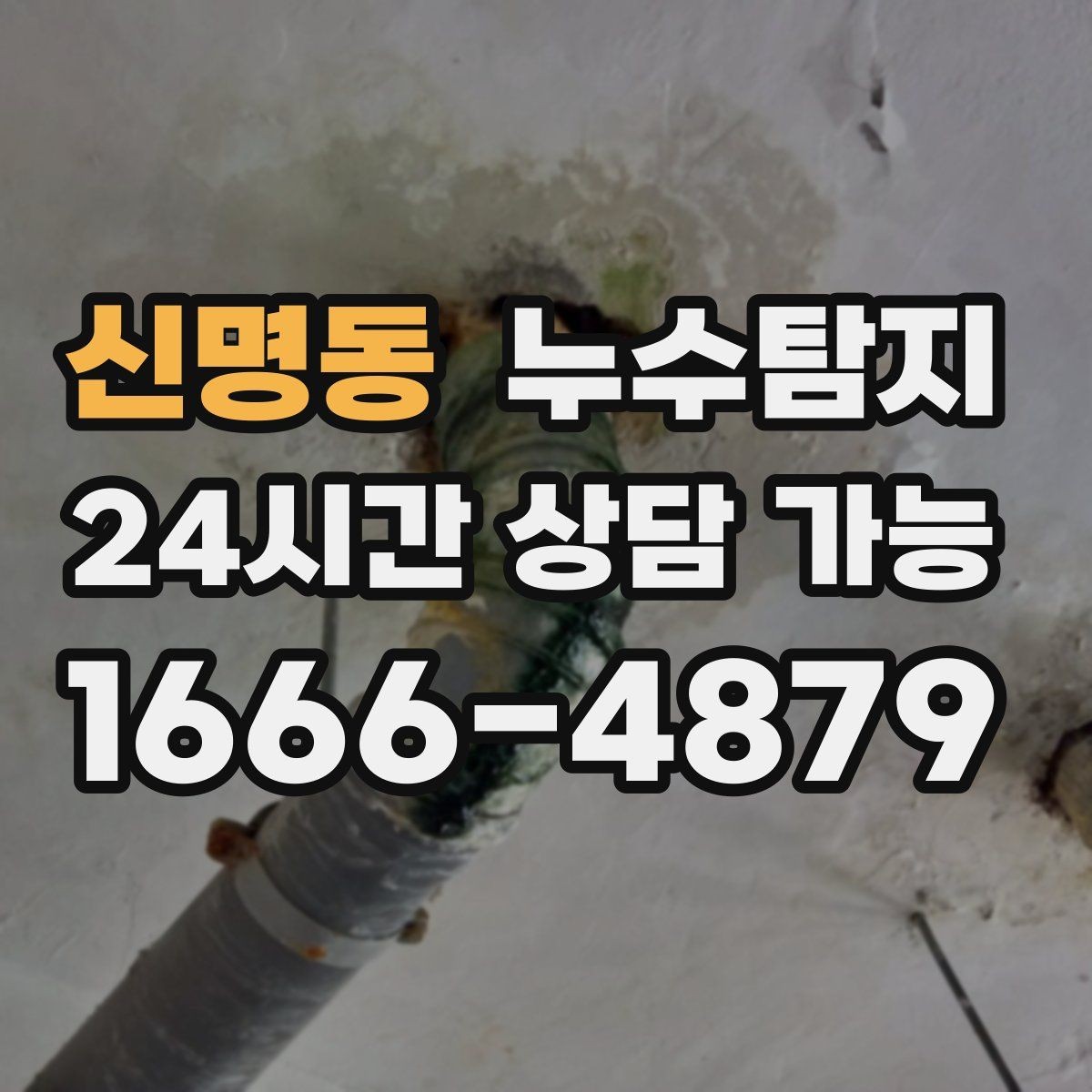 신명동 누수탐지 슬래브 누수 의심부터 확정까지