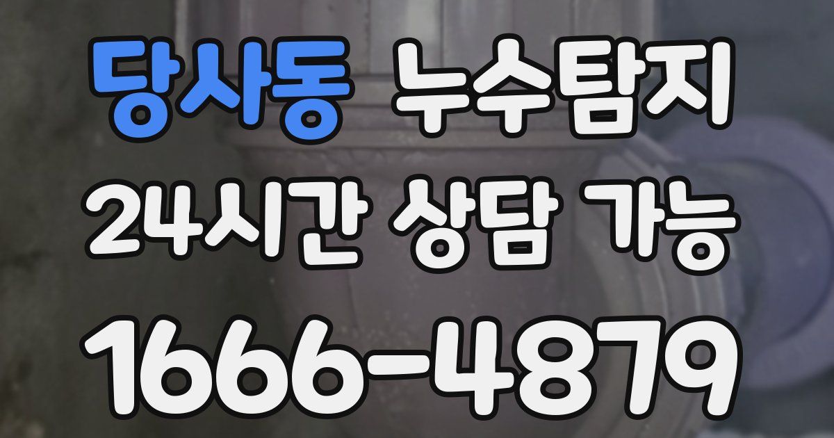 당사동 누수
