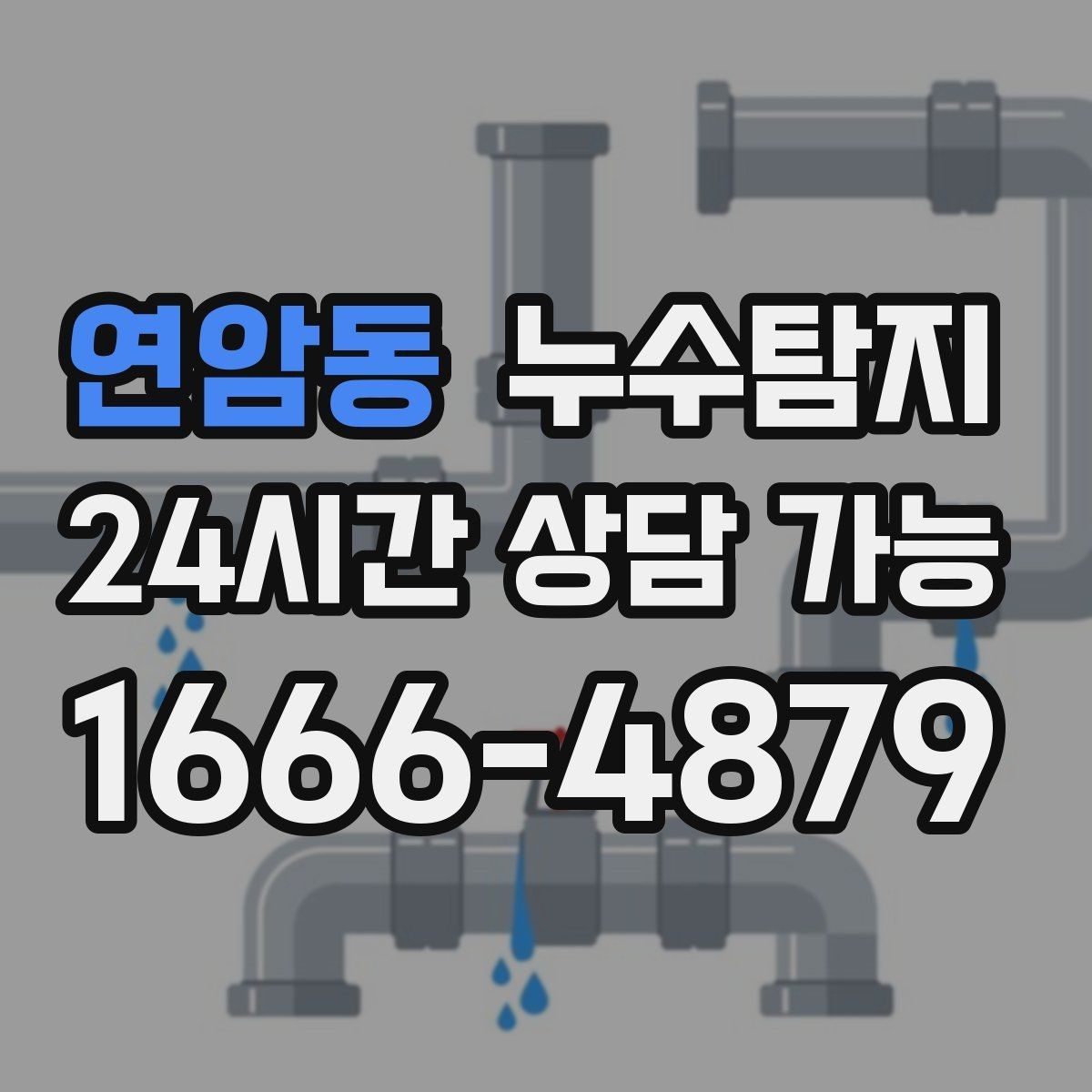 연암동 누수탐지 옥상 지붕 누수 점검