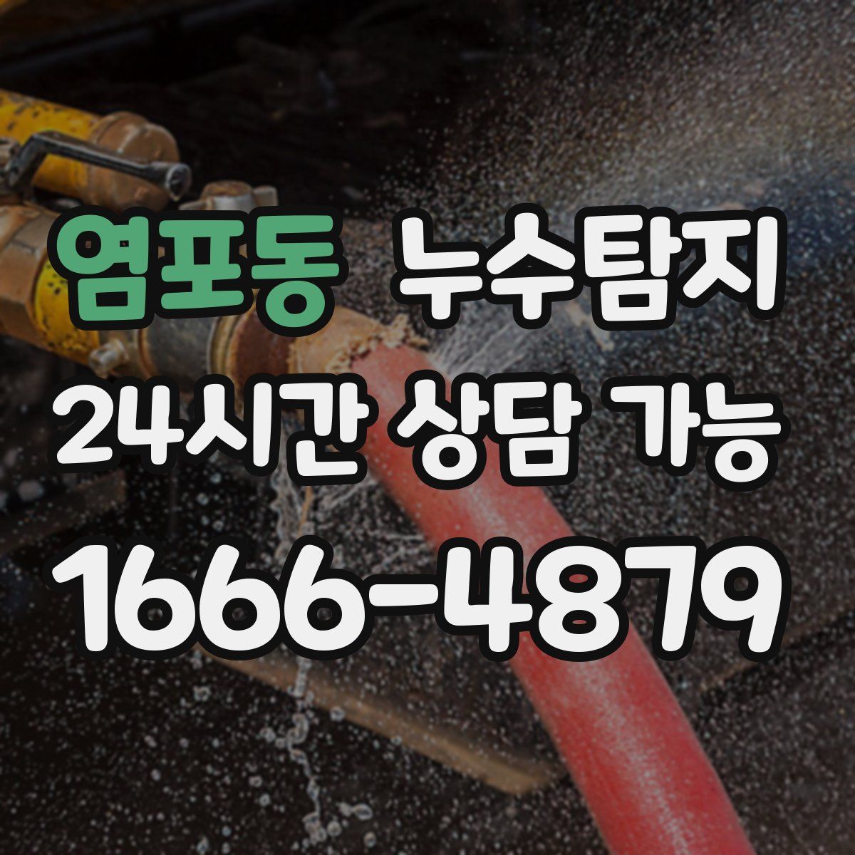 염포동 누수탐지