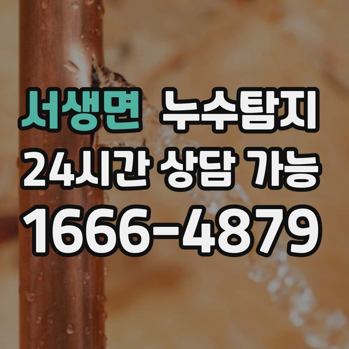 서생면 누수탐지